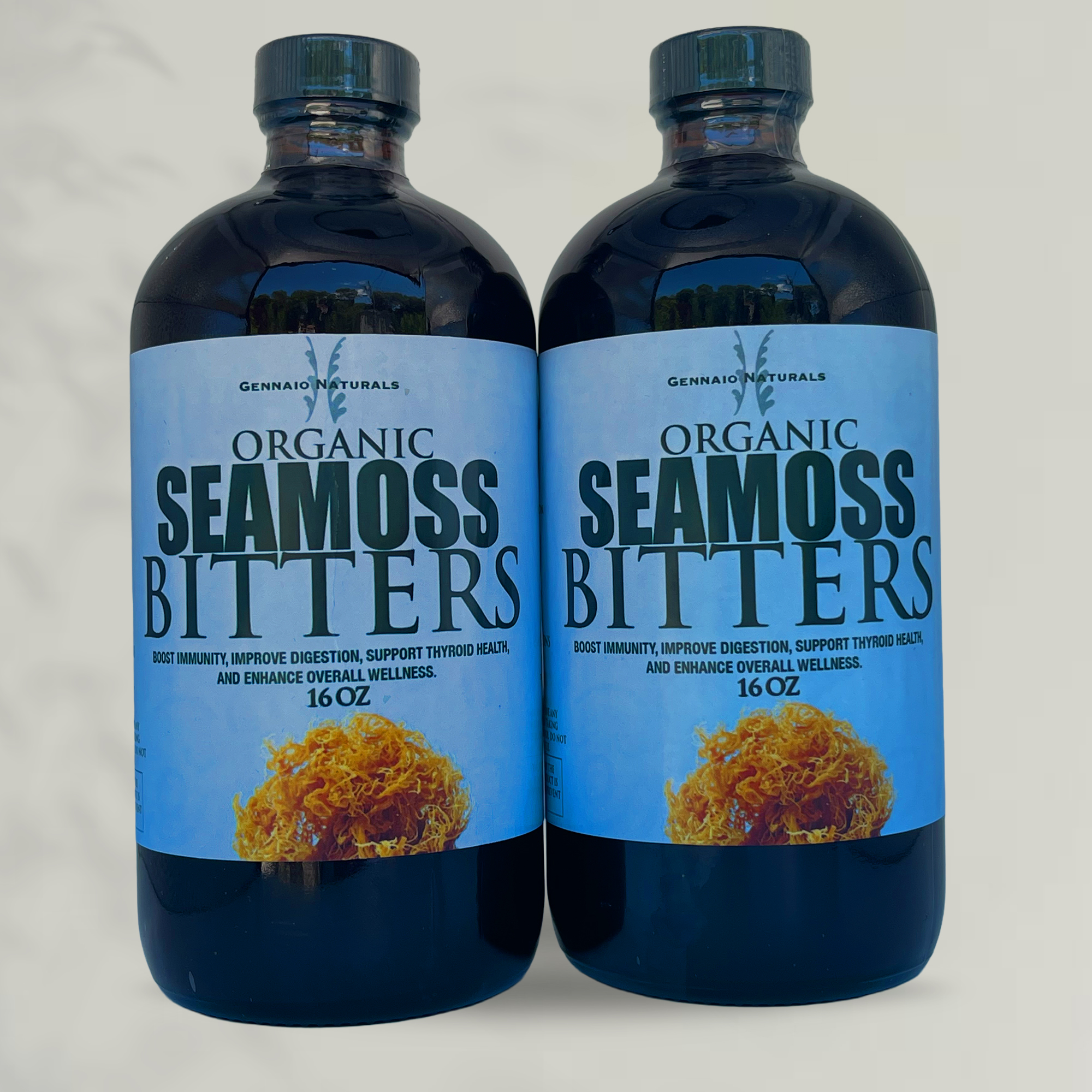 x2 Seamoss Bitters